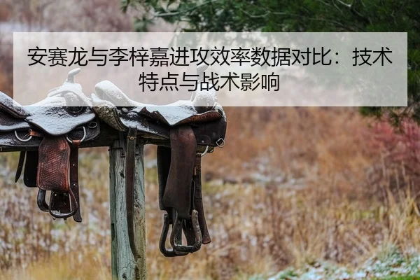 安赛龙与李梓嘉进攻效率数据对比：技术特点与战术影响