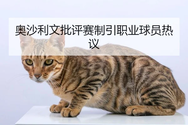 奥沙利文批评赛制引职业球员热议