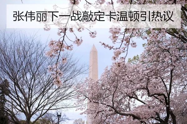 张伟丽下一战敲定卡温顿引热议