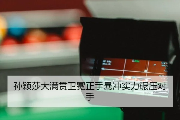 sun-ying-sha-da-man-guan-wei-mian-zheng-shou-bao-chong-shi-li-nian-ya-dui-shou-2-383.jpg